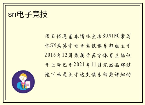 sn电子竞技